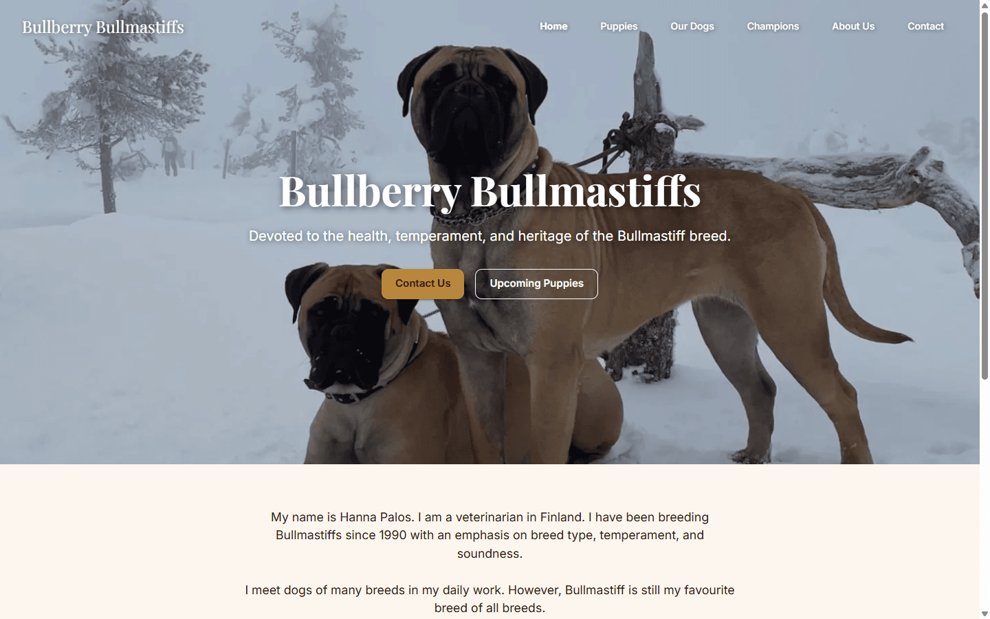 Bullberry.fi kennel website homepage, built by Curtis Thomas